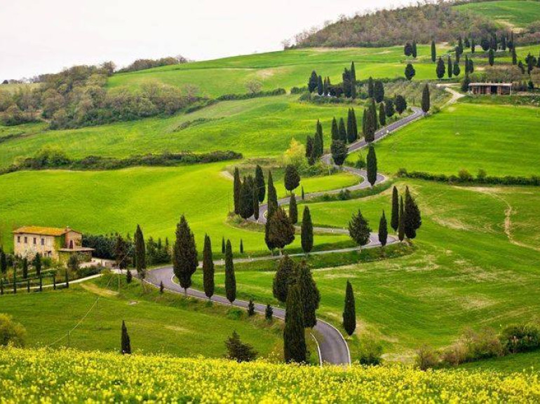 colinas salpicadas de árboles de ciprés y las granjas antiguas, muchas de las cuales se convierten a la agricultura ecológica y la hospitalidad ecológico, Toscana, Italia