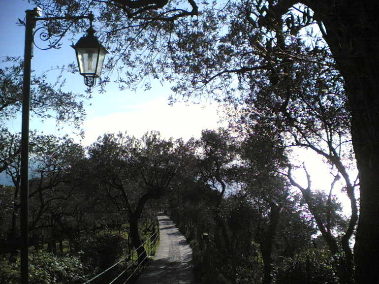 Camino en el monte de Portofino