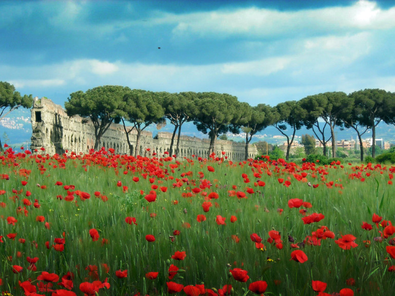 Las ruinas de Roma rodeados de zonas verdes salpicado de amapolas rojas en primavera.