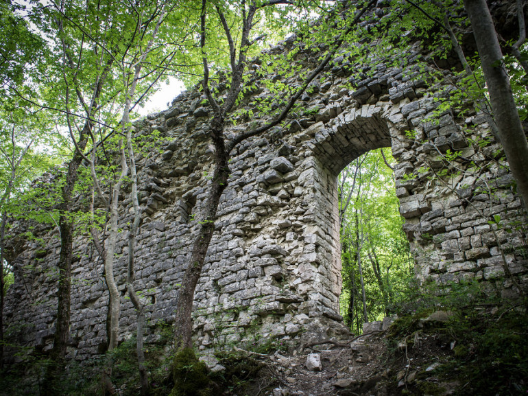 Los restos de la ermita de Santa María en Morimondo, ahora una parte integral del bosque